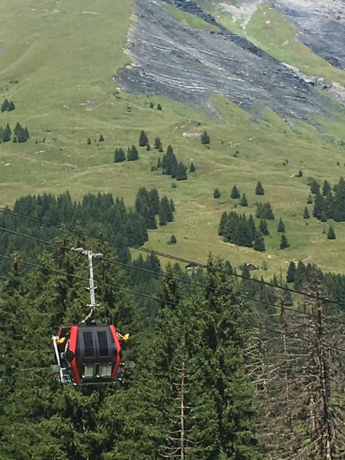 Apartamento Les Pierres Blanches Mont Blanc Les Contamines-Montjoie Exterior foto